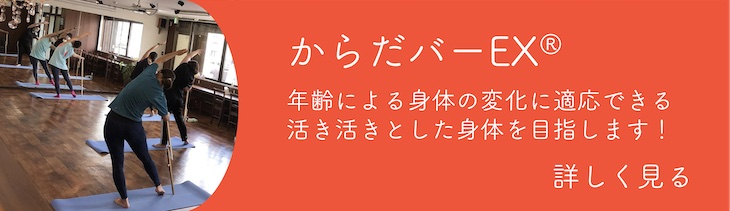 シルクサスペンションのページへリンク