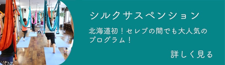 シルクサスペンションのページへリンク